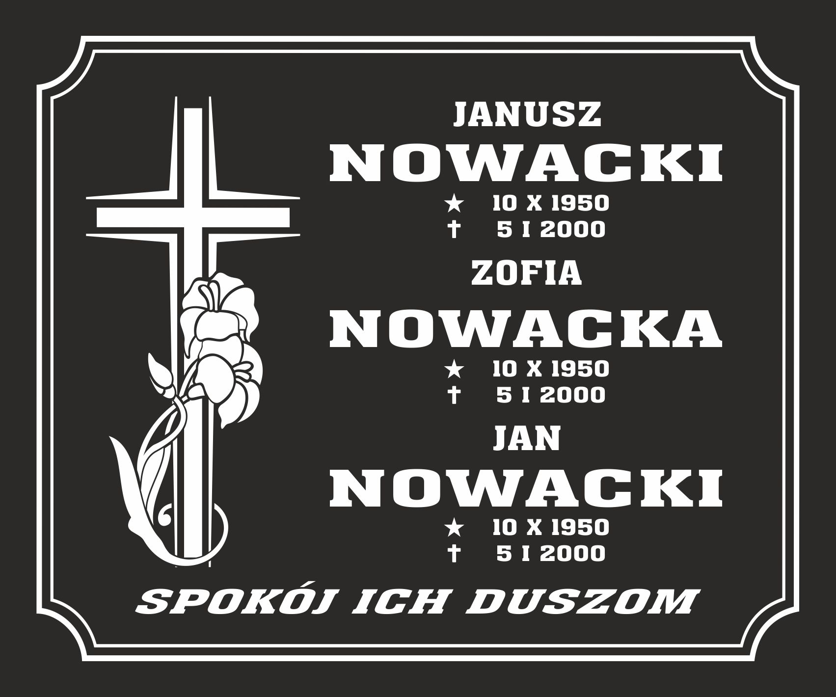 Zdjęcie produktu C02
